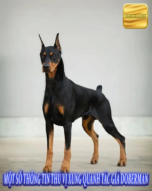 Một số thông tin thú vị xung quanh tác giả Doberman